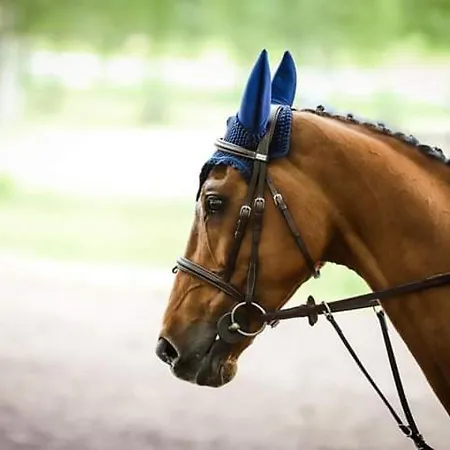 4 Pers Avec Jardin Prive, Proche Saumur Et Bords De Loire, Inclus - Fr-1-622-5 Brain-sur-Allonnes