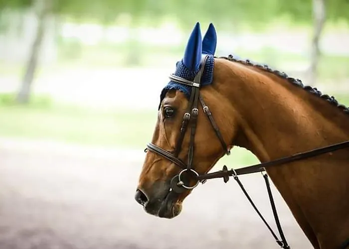 4 Pers Avec Jardin Prive, Proche Saumur Et Bords De Loire, Inclus - Fr-1-622-5 阿洛讷河畔布兰